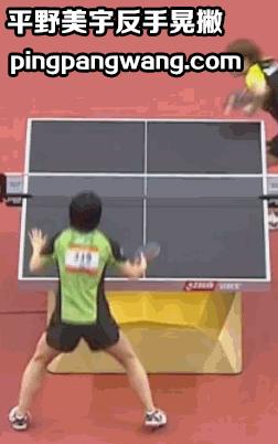 乒乓球技术分享反手站位框架教学,乒乓球技术汇总表