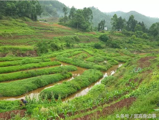 小龙虾基地钓龙虾,瑶海野钓龙虾的最佳地点