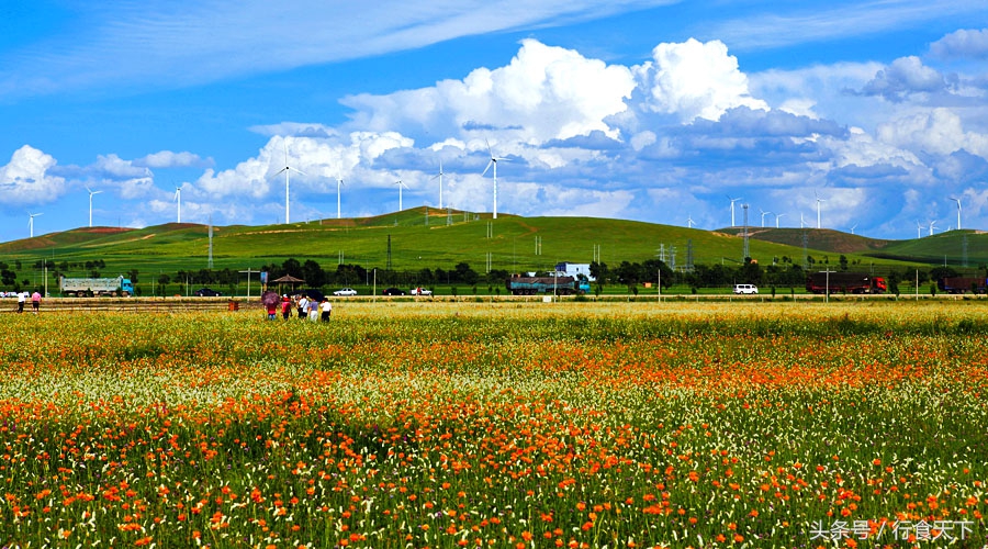 河北气候宜居的城市排名,河北空气质量最好的城市