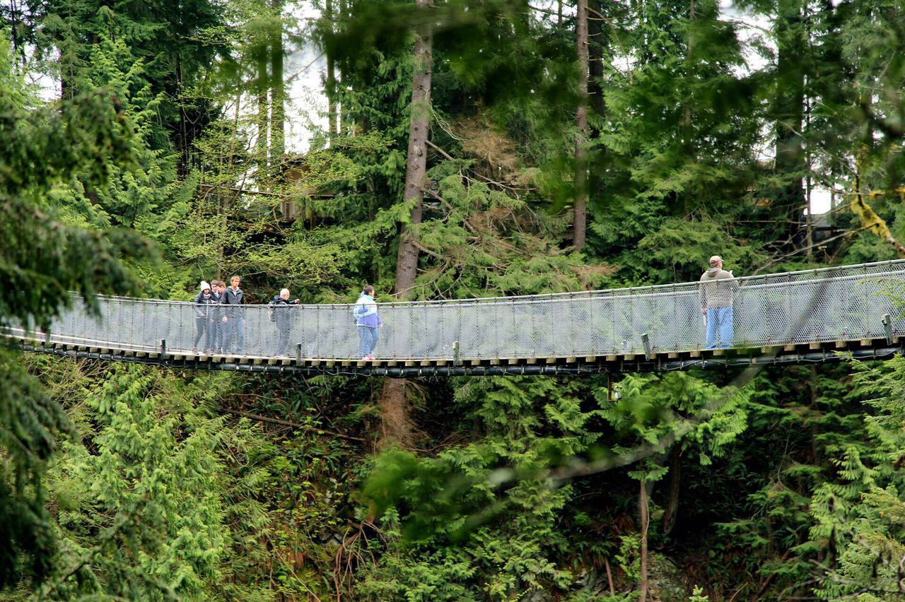 七十迈分享—14天玩儿转加拿大枫叶之国自驾游之旅（二）
