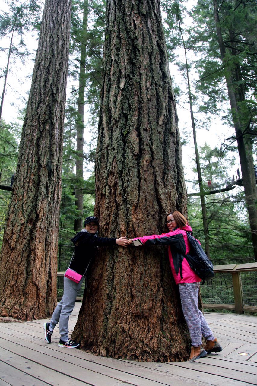 七十迈分享—14天玩儿转加拿大枫叶之国自驾游之旅（二）