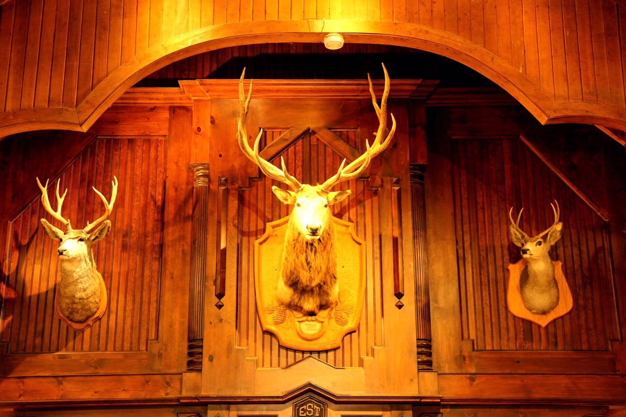 七十迈分享—14天玩儿转加拿大枫叶之国自驾游之旅（二）