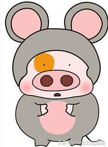 属相猪寿命多少,生肖猪好事发生的年龄