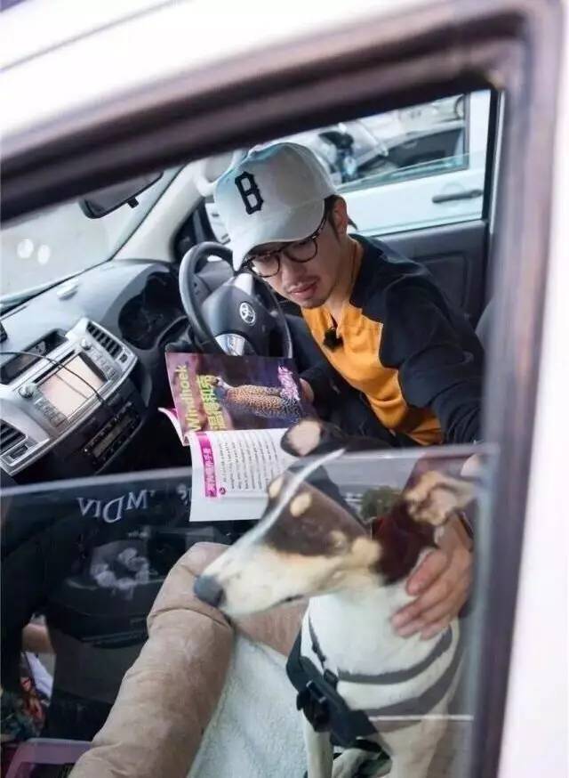 陈柏霖的暖男形象,陈柏霖最佳男友完整版