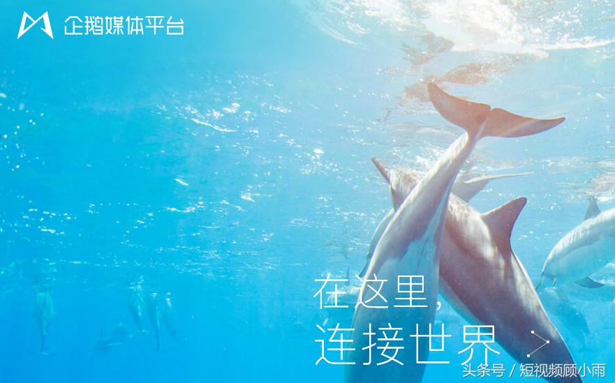 一节课教你零基础零粉丝吸粉变现,如何提升粉丝转粉率