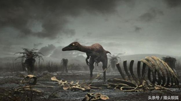 恐龙灭亡真相揭秘,各类恐龙生活的年代及灭亡时间