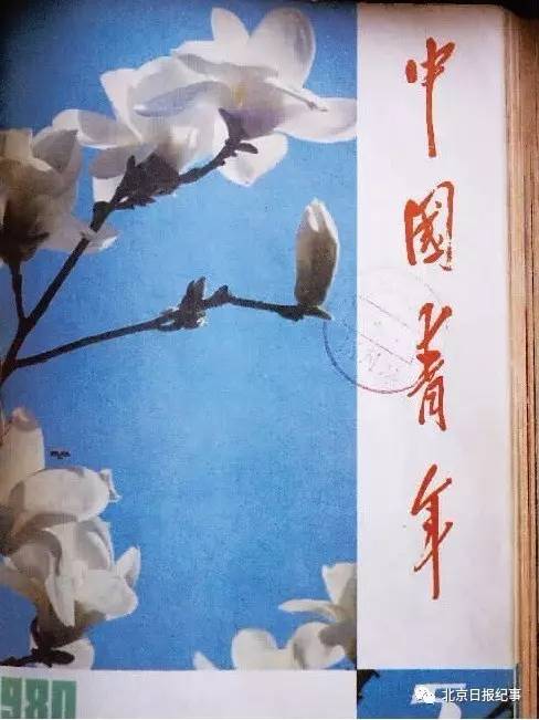 人生的路为什么趆走越窄,人生的路为什么越走越窄原文