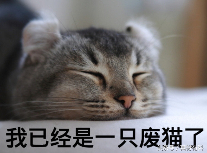 面部缺水严重连续敷几天面膜有效,为什么天天敷面膜还是很干