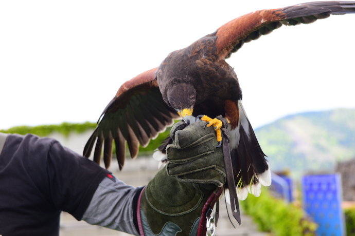 慢行克恩顿，浪回中世纪