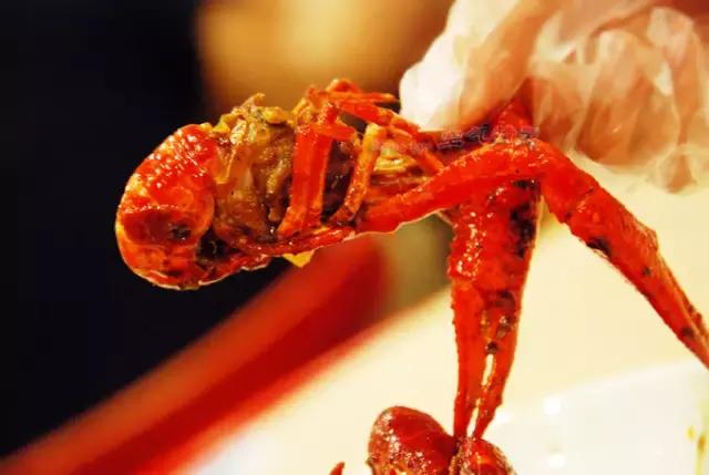 合肥特点龙虾店,合肥龙虾便宜推荐店有哪些