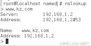 linux配置dns服务器步骤,在linux中dns服务器配置