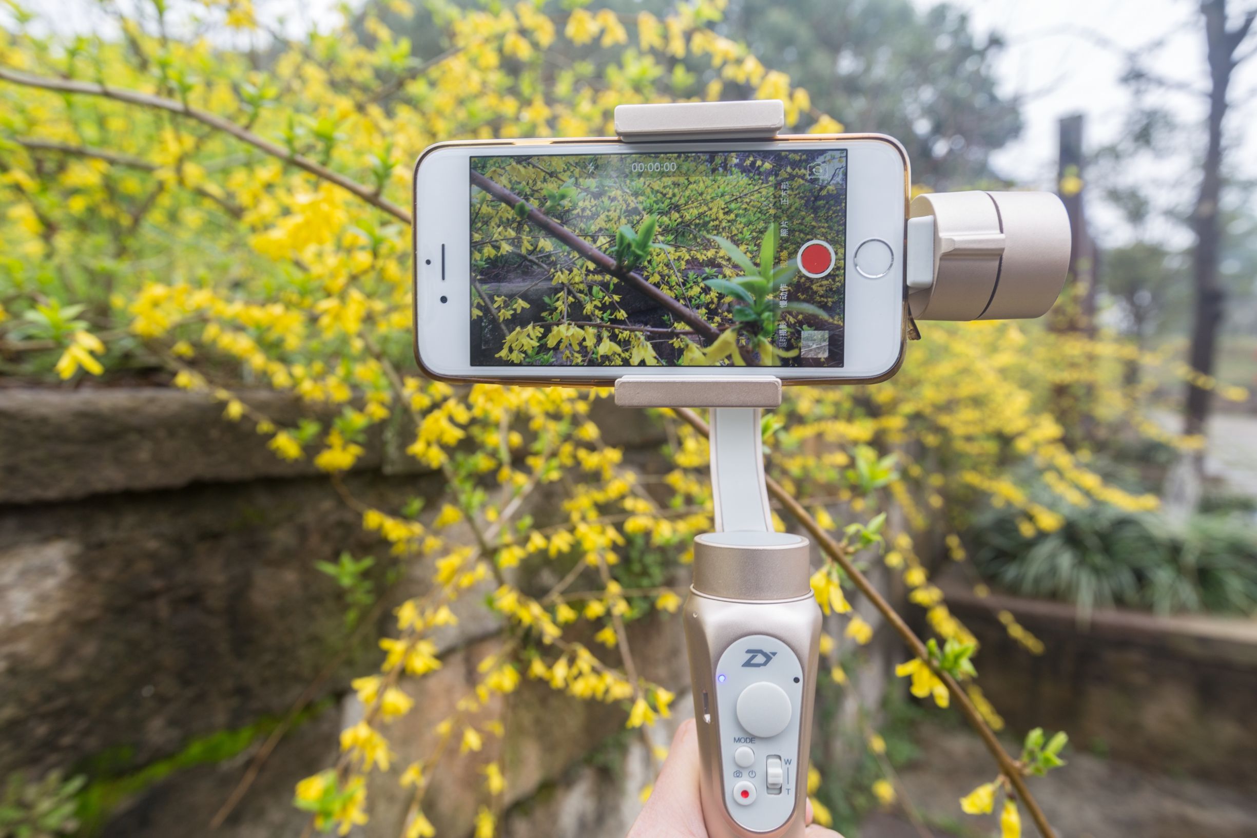 环球旅行家出国旅游,环球旅行需要做哪些准备工作