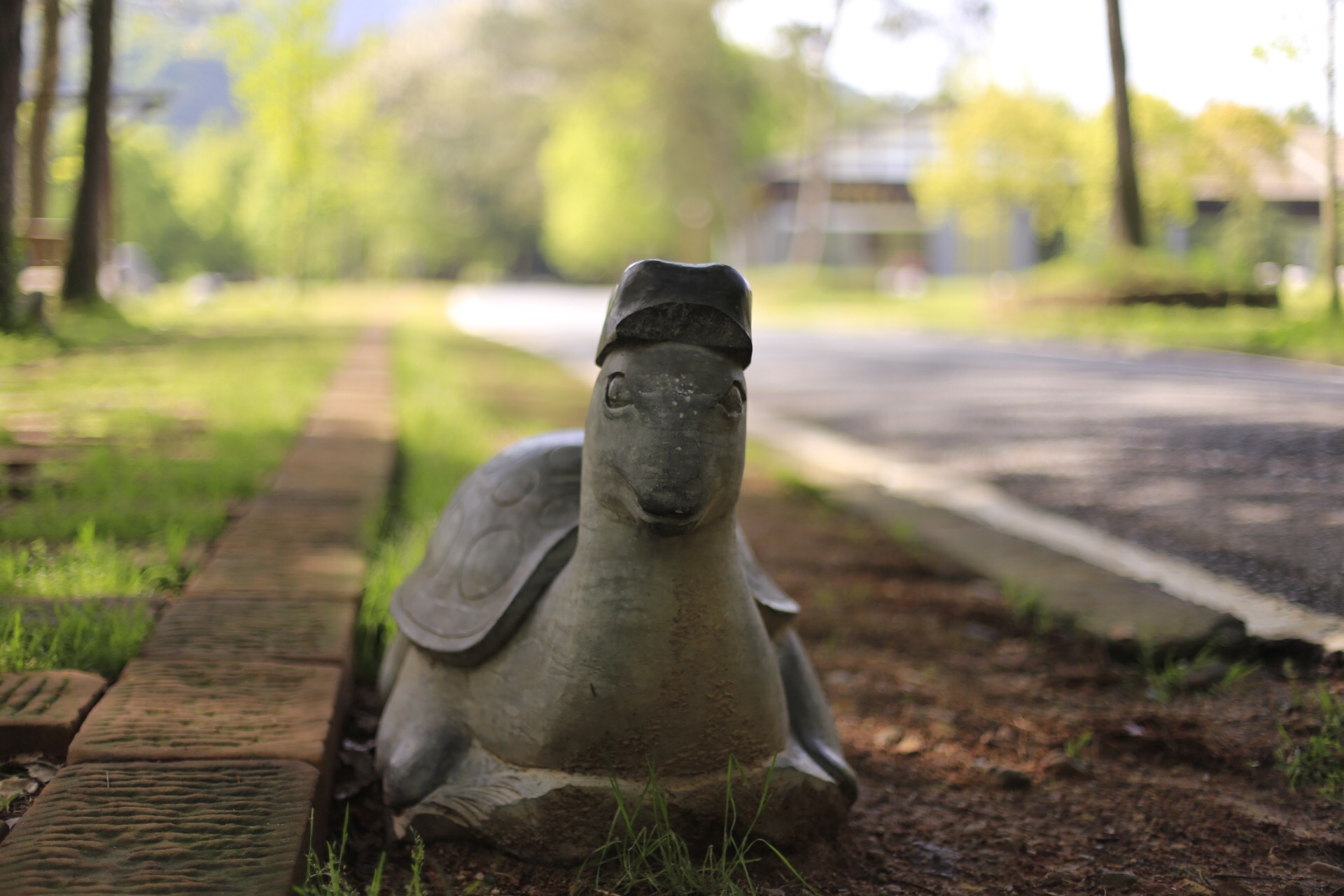 龟峰，创世之神为什么把乌龟的形象封存在这里