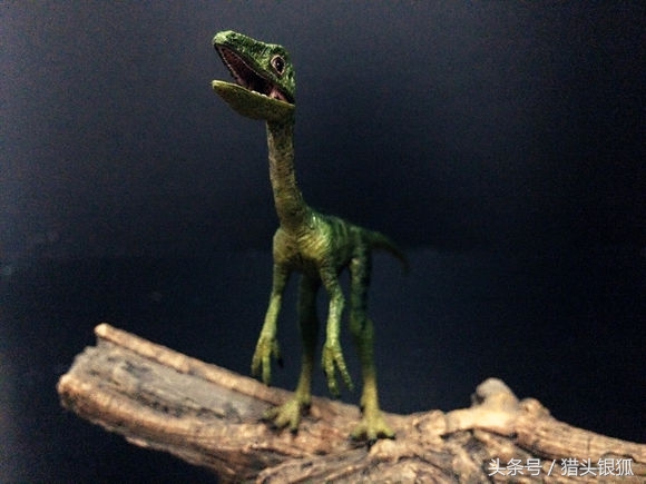 恐龙灭亡真相揭秘,各类恐龙生活的年代及灭亡时间