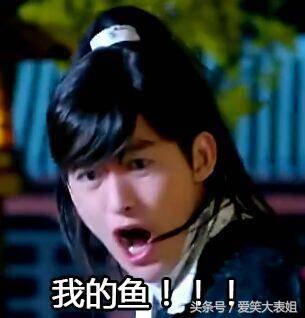 盘点杨幂搞笑,杨幂搞笑名场面盘点