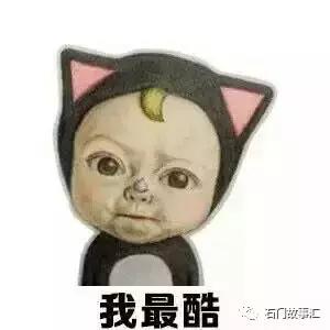 请外国海关放过中国特产吧：鸡精里真的没有鸡，龟苓膏里也没龟！