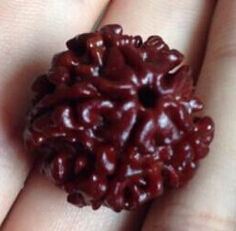 做旧大金刚和老金刚鉴别,金刚菩提做旧用什么材料