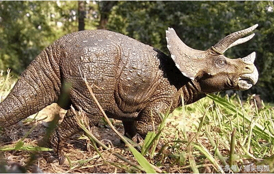 恐龙灭亡真相揭秘,各类恐龙生活的年代及灭亡时间