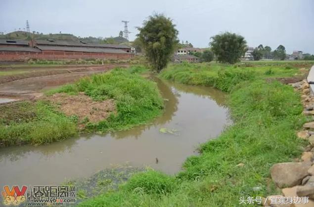小龙虾基地钓龙虾,瑶海野钓龙虾的最佳地点
