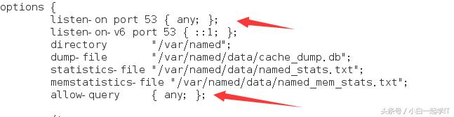linux配置dns服务器步骤,在linux中dns服务器配置