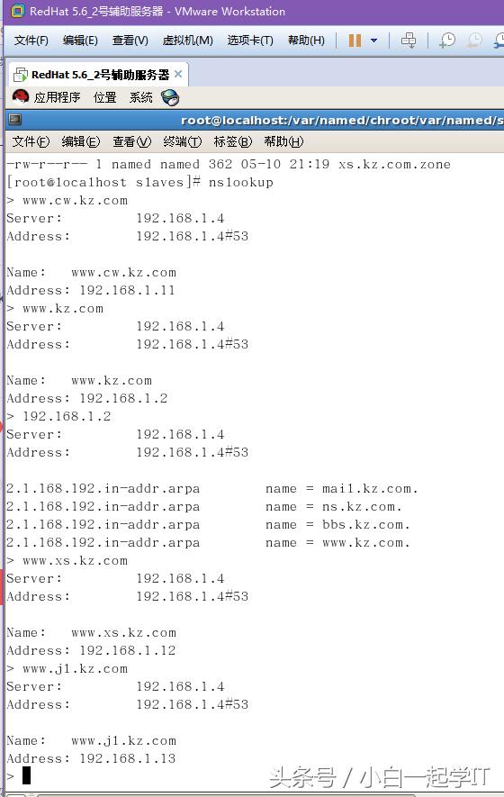 linux配置dns服务器步骤,在linux中dns服务器配置