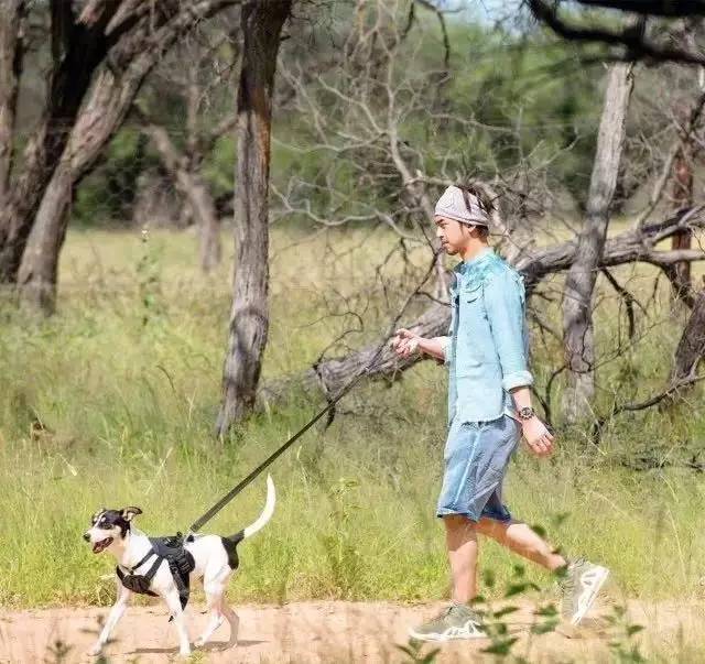 陈柏霖的暖男形象,陈柏霖最佳男友完整版