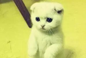 黄皮肤假货怎么识别,假货导致过敏