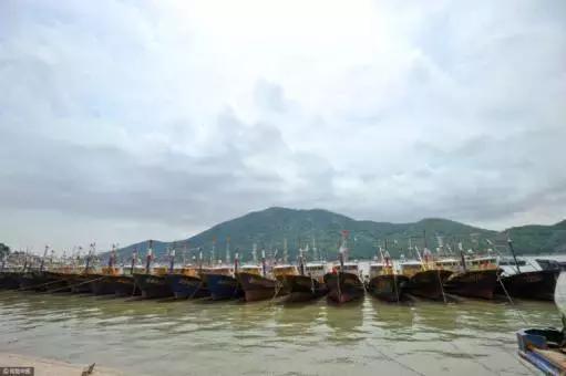 禁渔期内的海鲜产品,禁渔期的海鲜市场价格