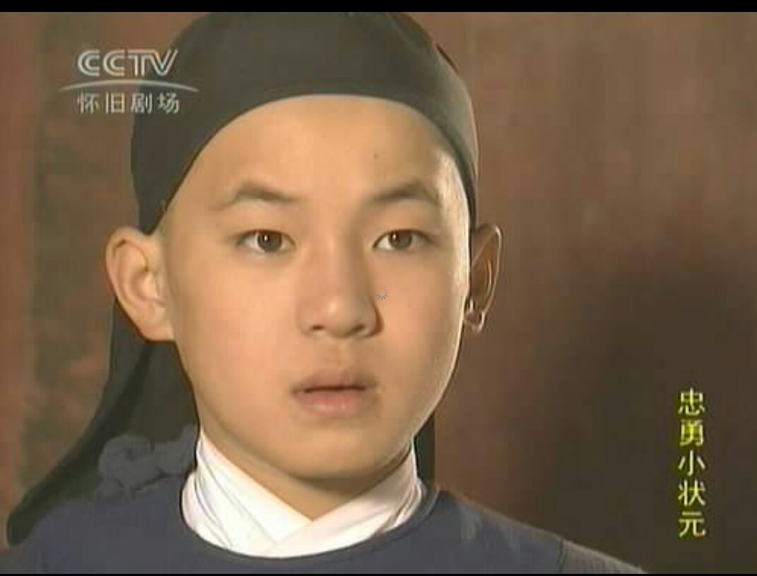 忠勇小状元纪录片,忠勇小状元真相