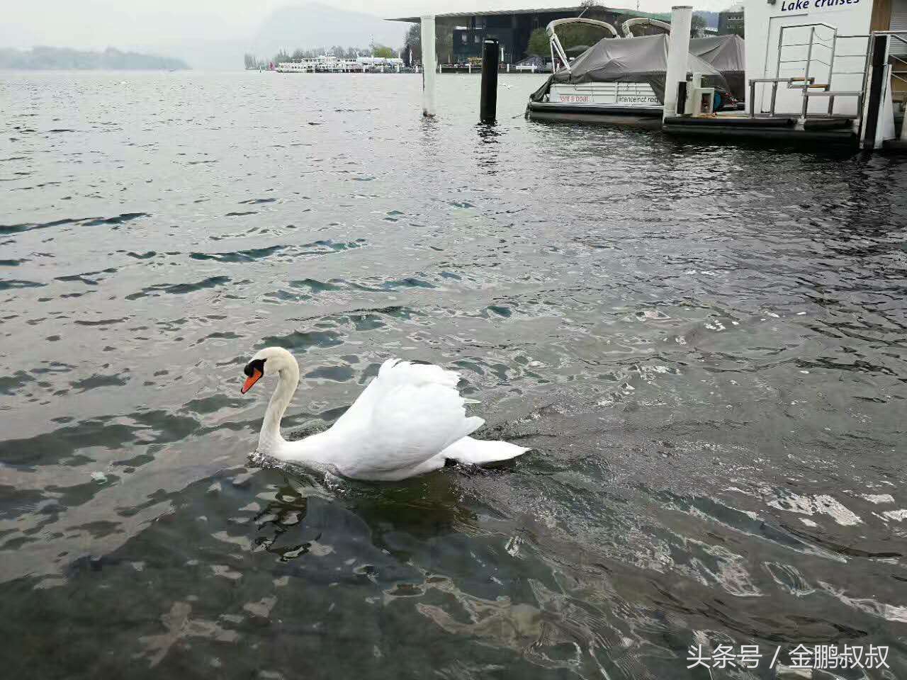 餐饮做不好的老板，你需要看看罗永浩的手机产品发布会
