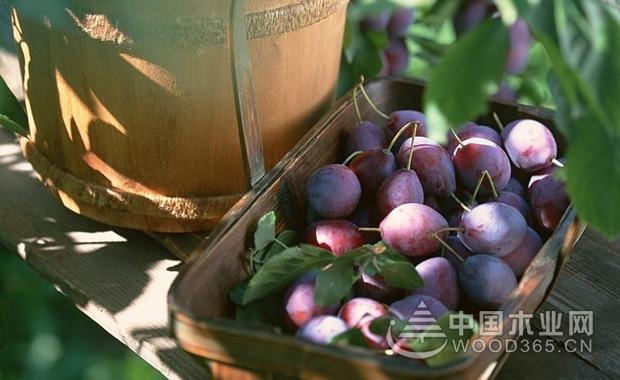 乌梅的药用价值及功效,乌梅图片及功效作用