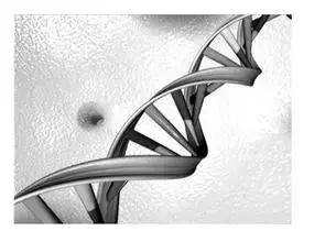 黄皮肤假货怎么识别,假货导致过敏