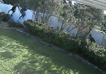 这算不算最萌身高差？