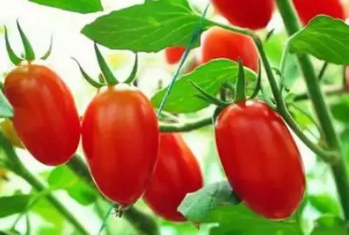 天津三日游自驾游超详细攻略,天津一日游攻略带孩子自驾