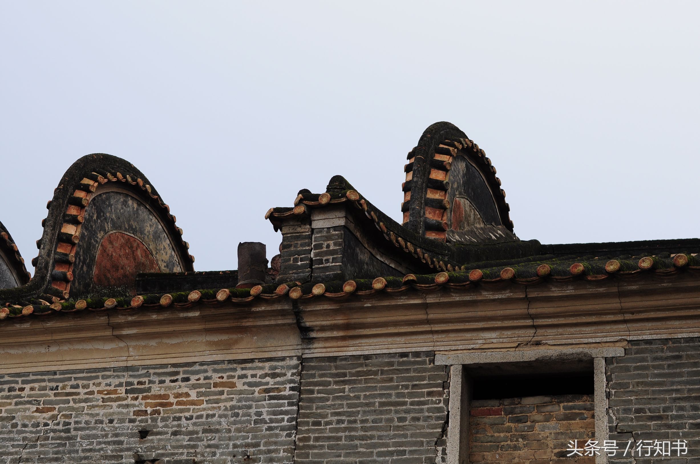 深圳旅游必去十大景点动物园,广州一日游最佳去处动物园