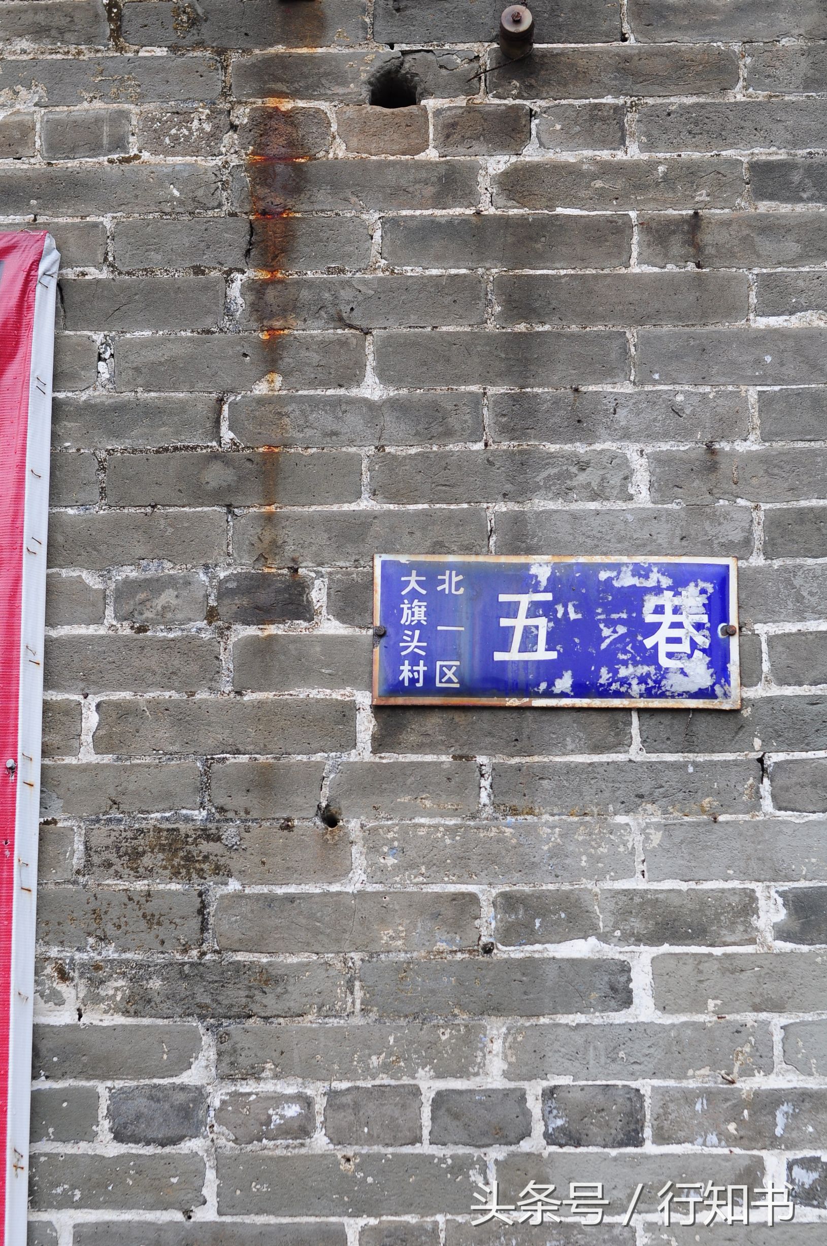 深圳旅游必去十大景点动物园,广州一日游最佳去处动物园