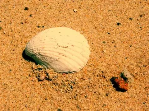 国境之南丨芽庄的风吹过