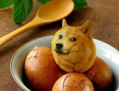 你遭遇了一只doge!精污《神烦狗》出VR游戏