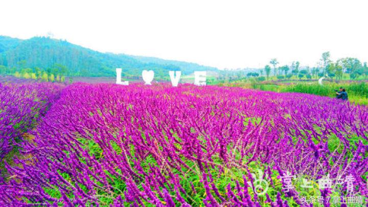 麒麟金麟湾：喧嚣城市中的一道静怡之湾