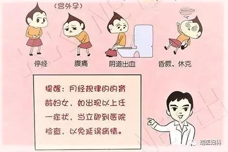 迷路种子,迷路的种子
