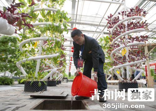 无土栽培长春农博园,长春农博园栽培技术