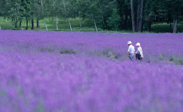 陕西电信99不限流量套餐,湖南电信99元不限流量套餐