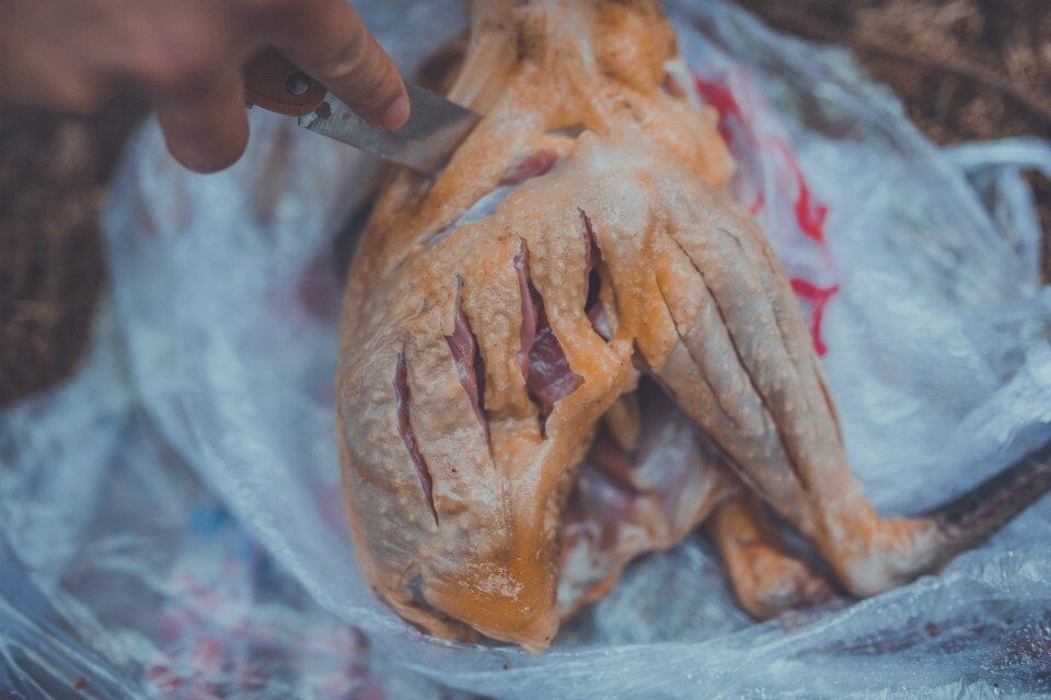 成体背包客带起包子重回甲尔猛措