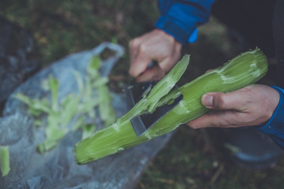 成体背包客带起包子重回甲尔猛措