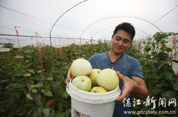 特点企业助力产业扶贫工作,龙头企业带动脱贫户增收效果