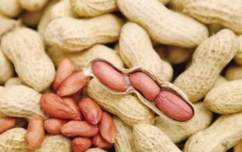 最健康营养的坚果,最有营养的坚果排行榜前十名