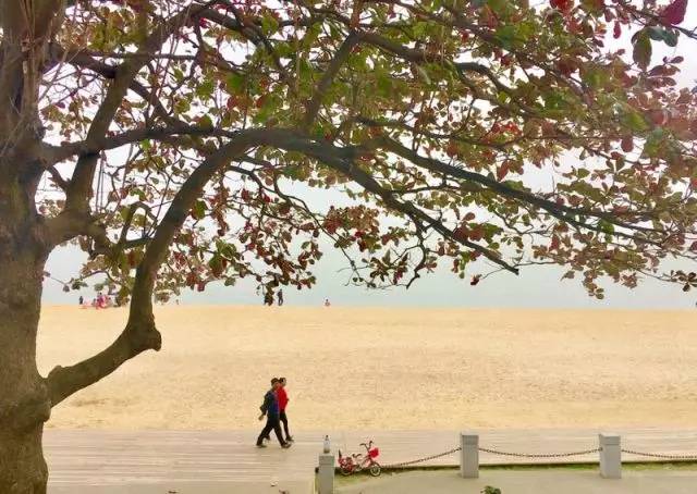 路过的风景抖音,路过的风景古筝版