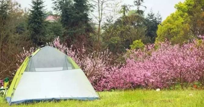 重庆比较高端的带会议室农家乐,重庆哪些好的农家乐可以玩