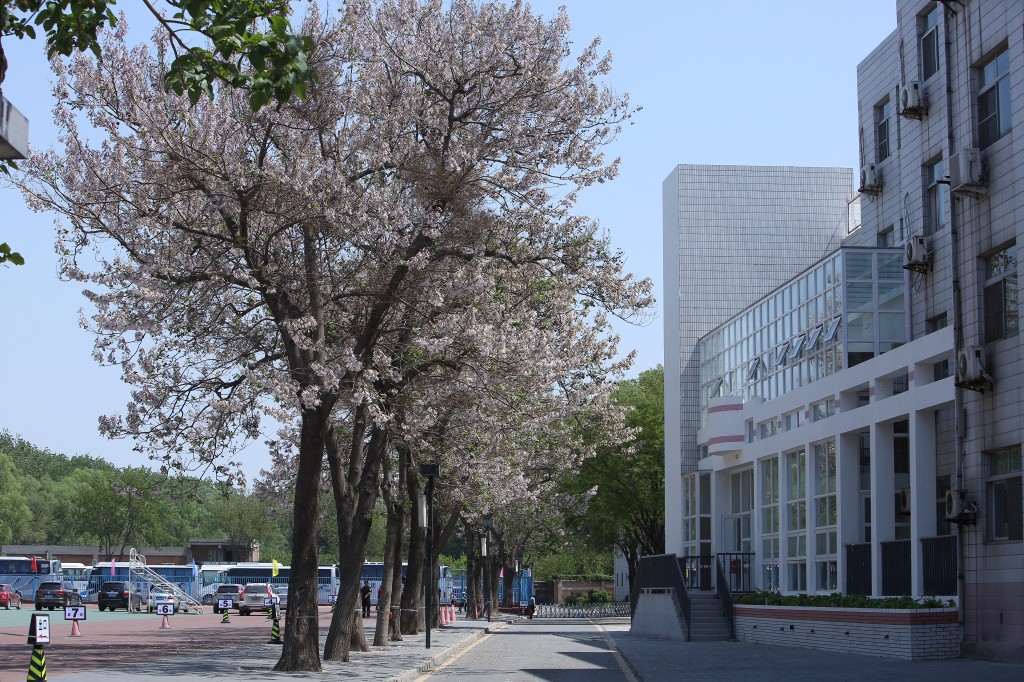 爱我亚太——25周年校庆系列活动之“爱”校