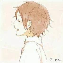 中华田园猫12个品种图哪个最好养,中国最稀少的猫品种中华田园猫